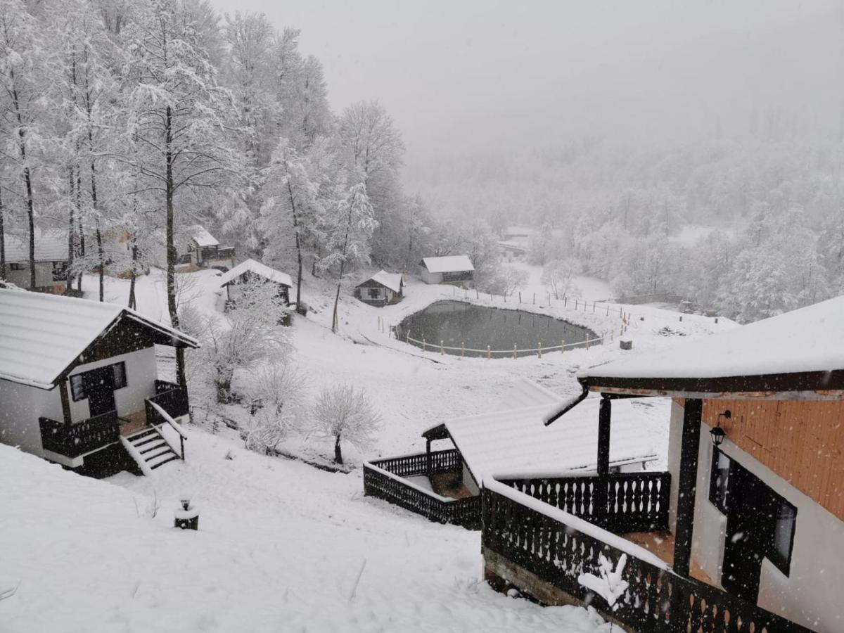 Hotel Satu Muscelean Albestii de Muscel Esterno foto