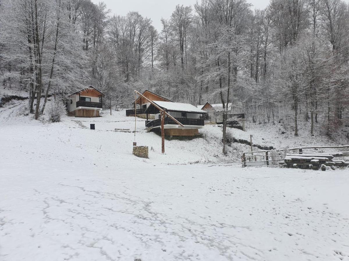Hotel Satu Muscelean Albestii de Muscel Esterno foto