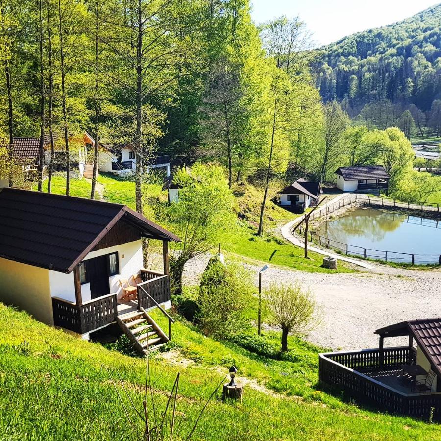 Hotel Satu Muscelean Albestii de Muscel Esterno foto