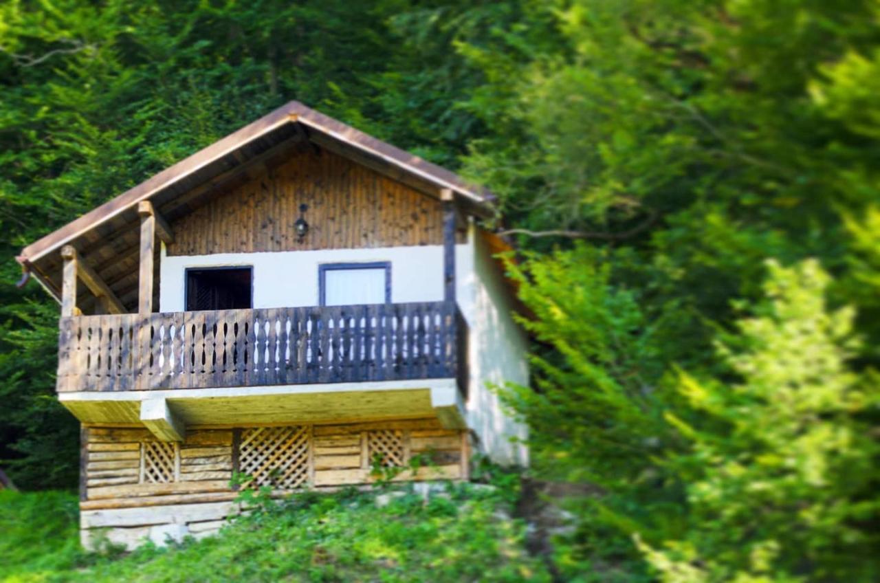 Hotel Satu Muscelean Albestii de Muscel Esterno foto